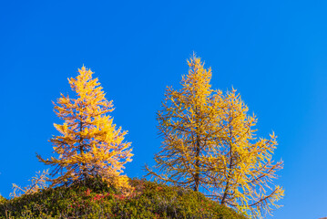 autumnal mountain landscape inside the Alpe Devero, Val D'Ossola, Verbania, Italia
