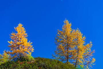 autumnal mountain landscape inside the Alpe Devero, Val D'Ossola, Verbania, Italia