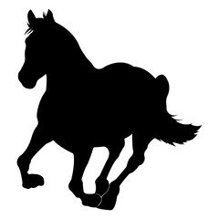 Horse silhouette.Vector illustration.