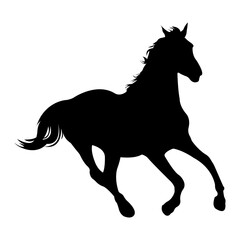 black horse vector illustration