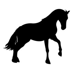 Obraz premium Horse silhouette.6.
