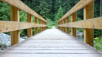 Fototapeta premium Wooden bridge path forest nature trail hike