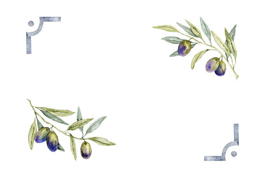 Frame of green olive branches with purple olives. Hand drawn watercolor illustration. Isolated on a white background. For invitations, labels, cards. Template for wedding, first communion, birthday