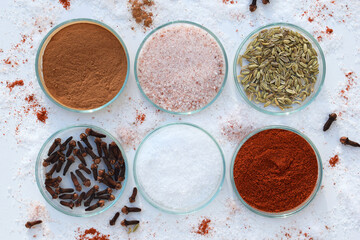 Various spices and salt in a petri dish, white background