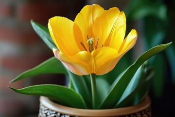 Naklejka premium A close-up shot of a bright yellow flower sitting in a simple vase