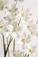 Fototapeta premium A bouquet of white flowers arranged in a decorative vase