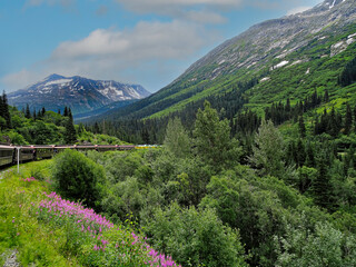 Alaska Railway, Denali Star to Anchorage