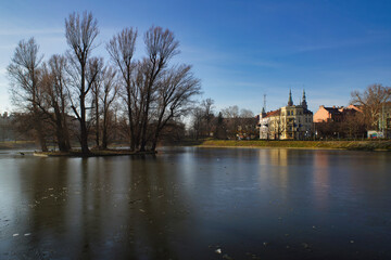 Frozen Goat Pond in Legnica.