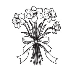 Vector illustration of a bouquet of daffodils tied with a ribbon, simple linear drawing of flowers isolated on a white background. for bouquet design.