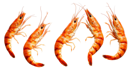Photo of cooked tiger prawns isolated on transparent background