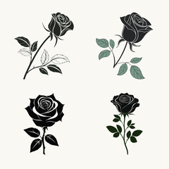 Obraz premium Illustrations of four elegant rose on light background