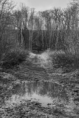 Reflecting On The Path