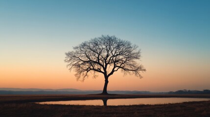Lone tree sunrise field reflection calm nature peace