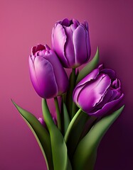 Fototapeta premium Tulpen, rosa Hintergrund