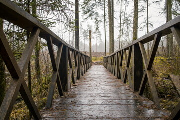 Fototapeta premium Wooden bridge in a misty forest. Low angle perspective emphasizing the bridge and the surrounding trees.