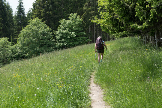 Hiking trail from Ahegg to Weitnau, Munich Way of St. James, Bavaria, Germany