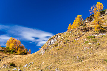 autumnal mountain landscape inside the Alpe Devero, Val D'Ossola, Verbania, Italia