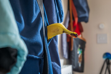 Fresh ripe banana fruit inside jacket pocket