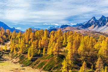 autumnal mountain landscape inside the Alpe Devero, Val D'Ossola, Verbania, Italia