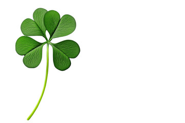 A detailed four-leaf clover isolated on a transparent background, symbolizing luck and good fortune.