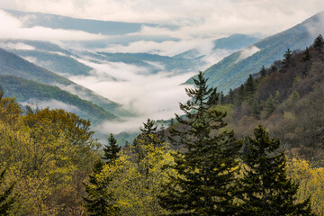 Morning spring view of Oconaluftee Valley with rising mist, Great Smoky Mountains National Park, North Carolina