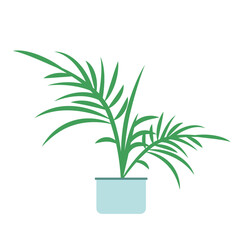 A simple and modern illustration of a potted plant with long green leaves, designed in a minimalist and clean style. 