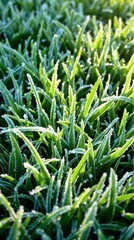 Obraz premium Generated image of green grass covered in frost background