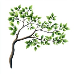 Fototapeta premium Elegant Branch with Fresh Green Leaves on White Background for Nature and Eco-Friendly Themes