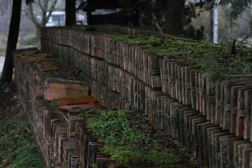 Fototapeta premium Aged Bricks and Moss: Nature Reclaims the Past