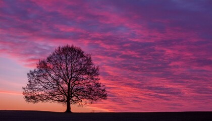 Obraz premium 거대한 노을빛 하늘 아래, 구불구불한 나무 한 그루가 서 있는 실루엣