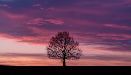 Fototapeta premium 거대한 노을빛 하늘 아래, 구불구불한 나무 한 그루가 서 있는 실루엣