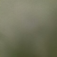 Fototapeta premium Pale gray brown green abstract background with space for design. Sage green shade of color. Rough fabric texture. Vintage. Matte. Template. Empty.