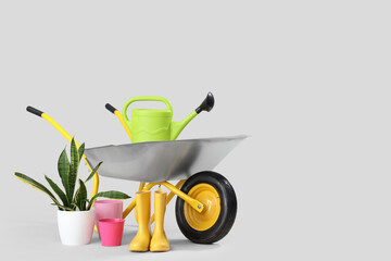 Plant, gardening supplies and wheelbarrow on white background