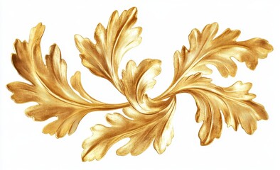 Gold leaf acanthus design, isolated, ornate, swirl, decorative, white background, for design
