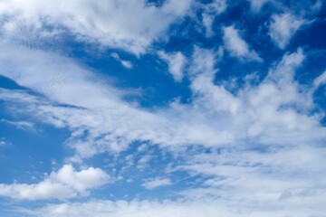 Obraz premium relaxation