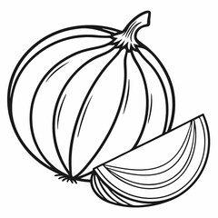 vector illustration of an onion