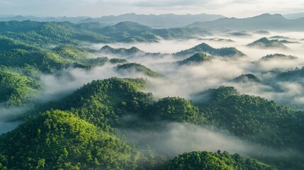 Lush Green Mountains Emergent from Misty Fog in Morning Light