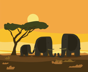 safari africa elephant animal silhouette on sunset orange sky background vector flat illustration
