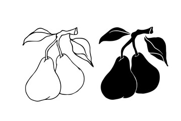 Line sketch, silhouette, pear fruit stamp. Vector graphics.
