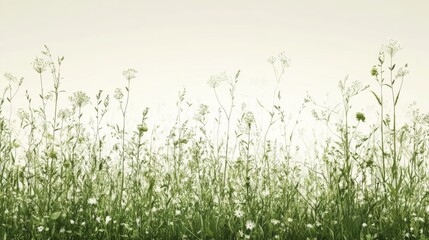 Obraz premium Wildflowers Meadow Summer Landscape, nature background