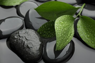Spa stones and green leaves in water, closeup