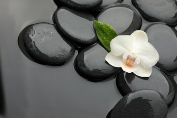 Spa stones and orchid flower on water surface, flat lay. Space for text