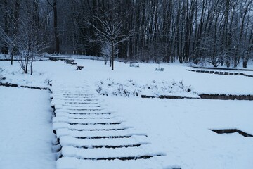 zimowy park © Dr.A.