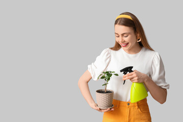 Beautiful young woman with water sprayer and houseplant on grey background