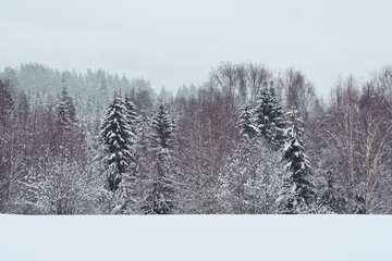 The cultural landscape of Toten, Norway, a day in February 2025.