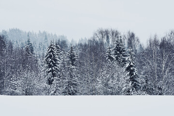 The cultural landscape of Toten, Norway, a day in February 2025.