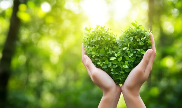 Green heart shaped plant held in hands symbolizes love for nature in serene forest setting