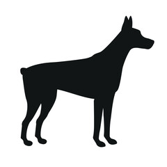 Vector flat hand drawn doberman dog silhouette isolated on white background