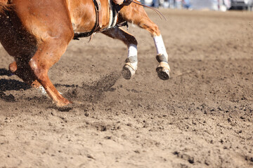 Great actions close up photo of a barrel racing horse.