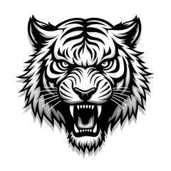 Fototapeta premium head of a tiger